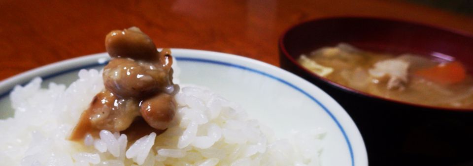 美味しくて懐しい新潟のしょうゆの実