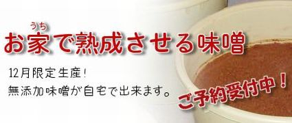 仕込み味噌