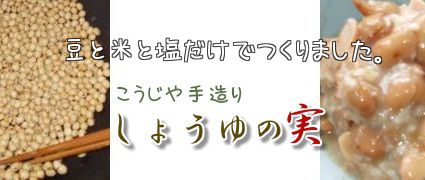 しょうゆの実