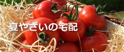 夏野菜