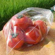 中玉トマト　華小町